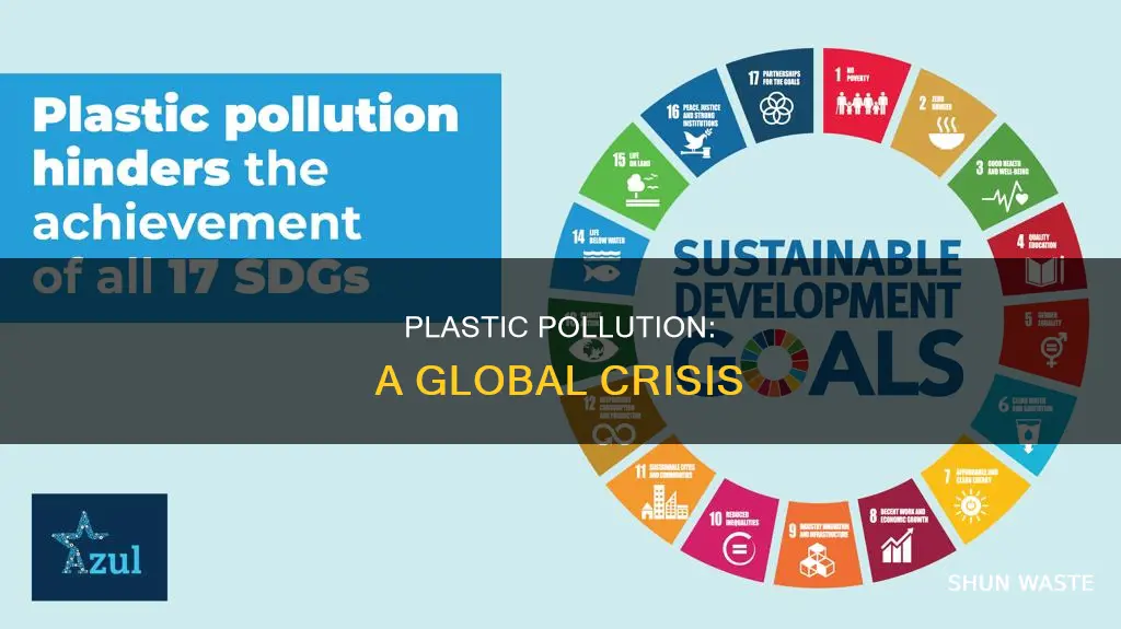 what is plastic pollution essay