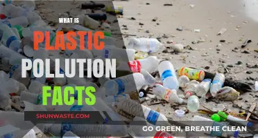 Plastic Pollution: Understanding the Devastating Impact