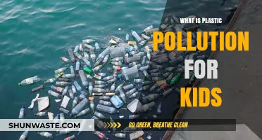 Plastic Pollution: A Problem Kids Can Solve