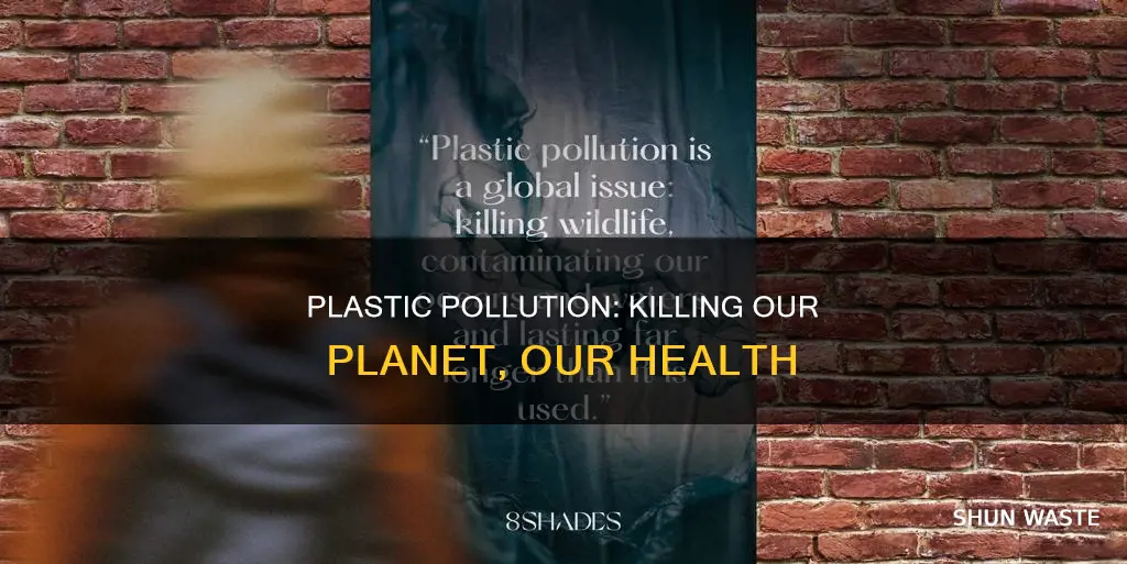what is plastic pollution killing