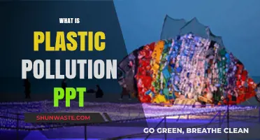Plastic Pollution: Understanding the Crisis
