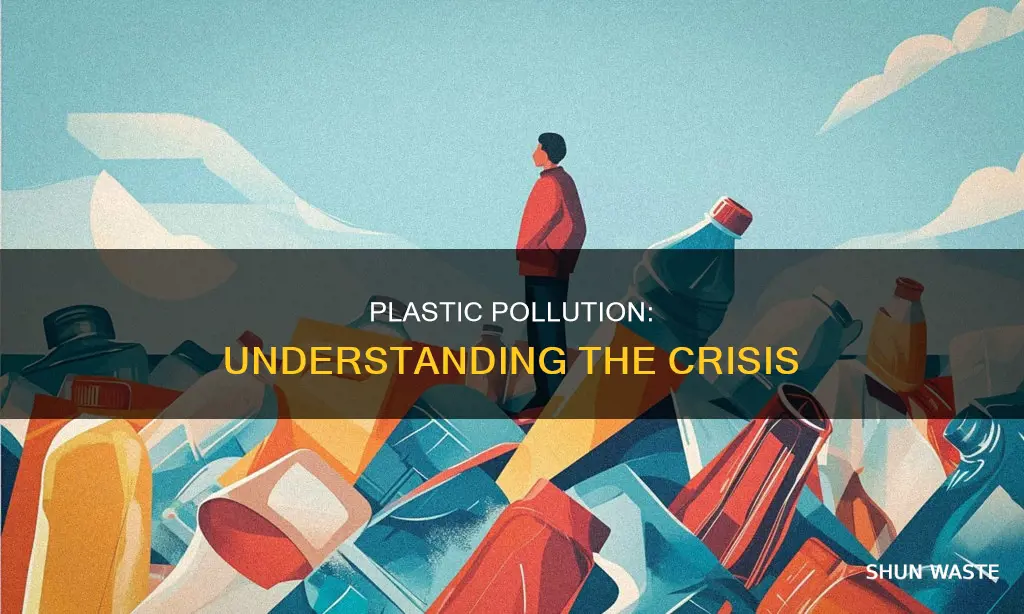 what is plastic pollution ppt