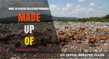 Plastic Pollution: Understanding the Main Components