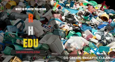 Plastic Pollution: Understanding the Global Crisis