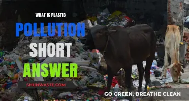 Plastic Pollution: Understanding the Global Crisis
