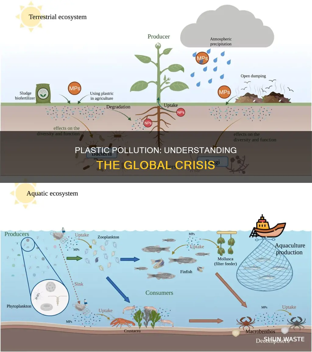 what is plastic pollution short answer