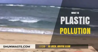 Plastic Pollution: A Global Crisis
