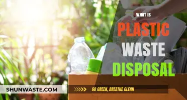 Eco-Friendly Solutions: The Ultimate Guide to Plastic Waste Disposal