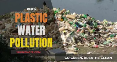 Unveiling the Plastic Crisis: Understanding Water Pollution