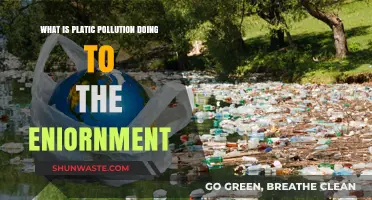 Plastic Pollution: Understanding its Environmental Impact
