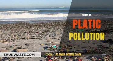 Plastic Pollution: A Global Crisis
