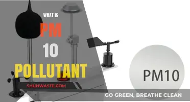 Understanding PM 10 Pollutants and Their Impact