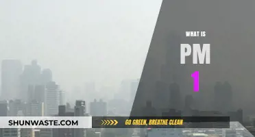 Understanding PM1: The Tiny Particles in Our Air