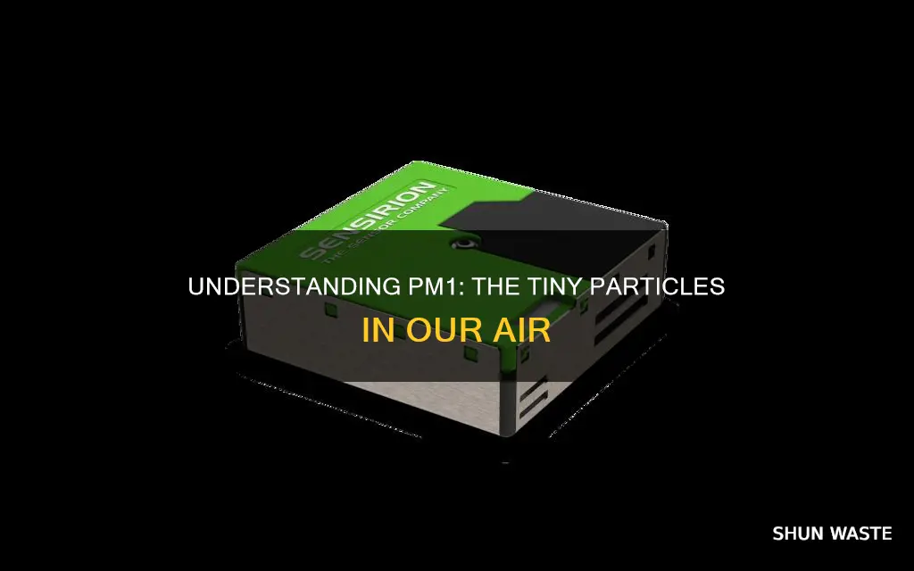 what is pm 1