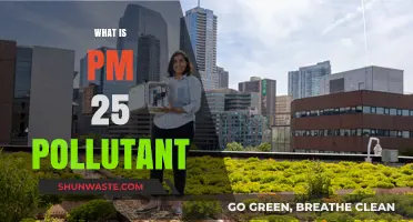 Understanding PM 2.5: The Invisible Air Pollutant