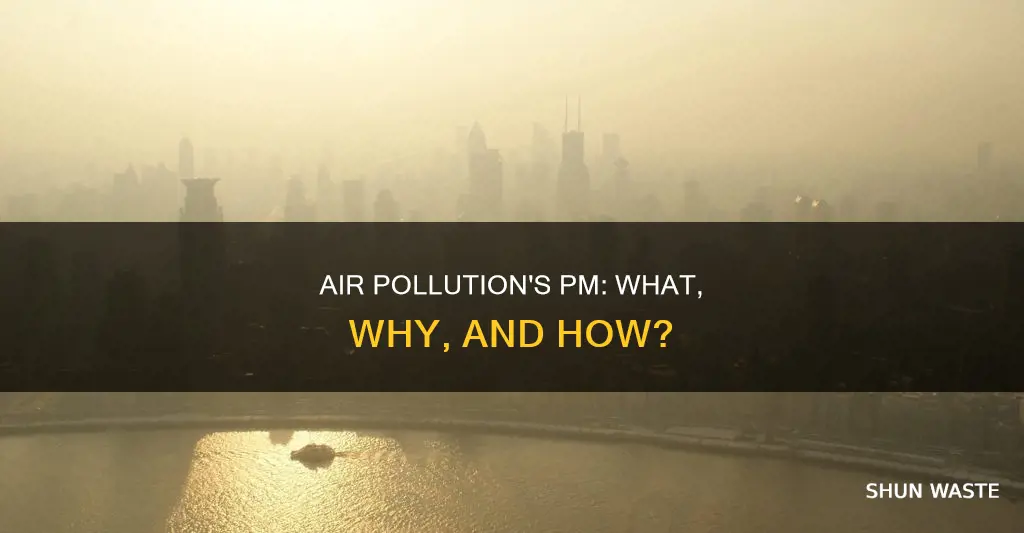 what is pm air pollution