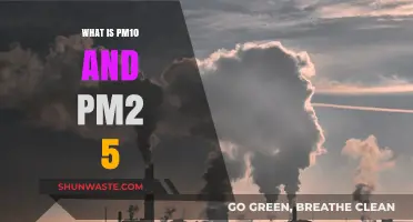 Understanding PM10 and PM2.5: Air Quality Essentials