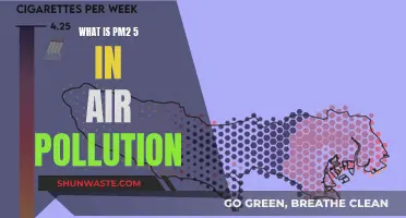 Air Pollution's PM2.5: What You Need to Know
