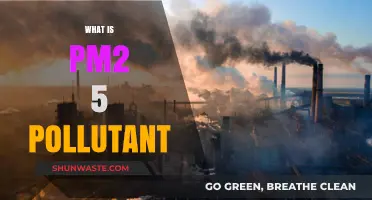 Understanding PM2.5: Tiny Particles, Big Health Risks