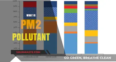 Understanding PM2.5: The Invisible Air Pollutant