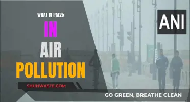 Air Pollution's PM2.5: What It Is and Why It Matters