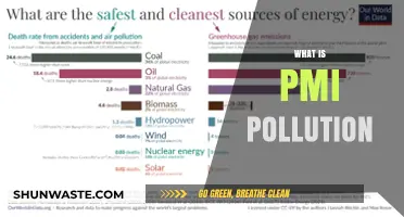 PMI Pollution: A Global Health Crisis