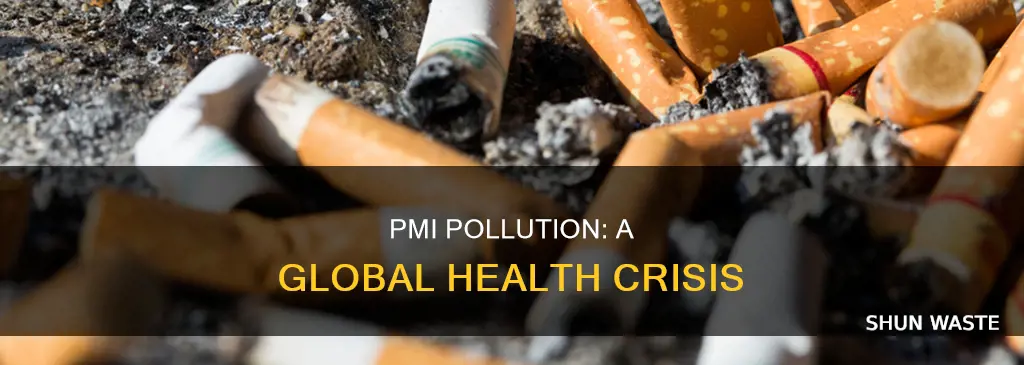 what is pmi pollution