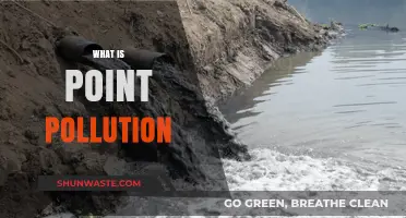 Understanding Point Pollution: A Precise Environmental Threat