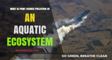 Understanding Point Source Pollution in Aquatic Ecosystems