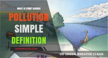 Understanding Point Source Pollution: A Simple Definition