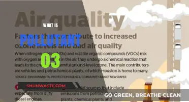Understanding the Dangers of Ozone Pollution