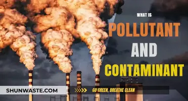 Understanding Pollutants and Contaminants: Defining Environmental Threats