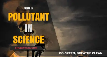 Science of Pollutants: What, Why, and How?