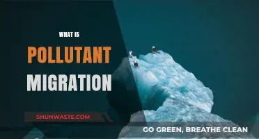 Understanding Pollutant Migration: A Complex Environmental Issue