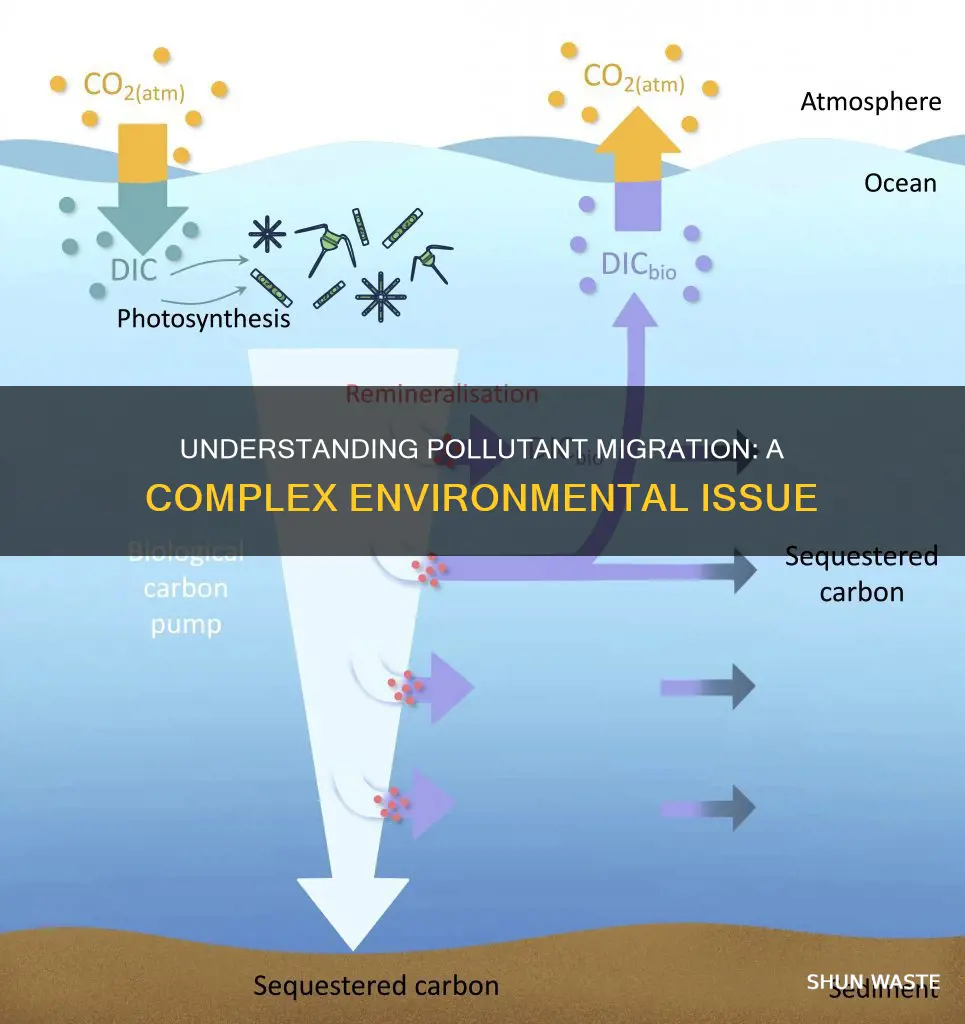 what is pollutant migration