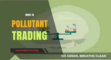 Trading Pollution: A Market-Based Solution