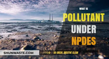 Understanding Pollutants: NPDEs and Their Impact