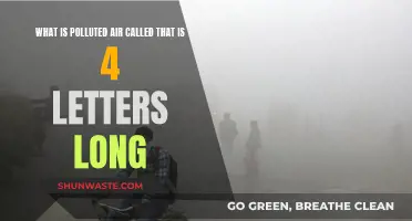 Air Pollution: What's That Smog?