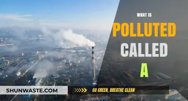 Contaminated and Corrupted: What's Polluted Called?