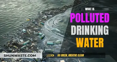 Unveiling the Hidden Dangers: Understanding Polluted Drinking Water