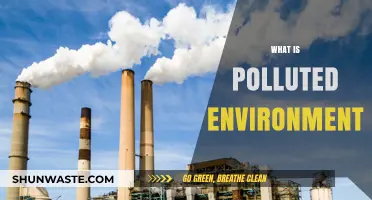 The Polluted Environment: Understanding the Crisis