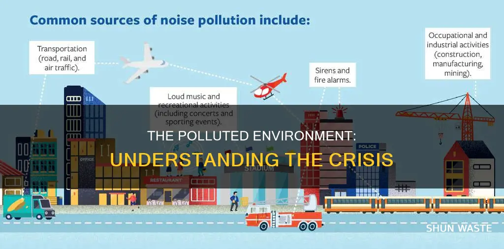 what is polluted environment