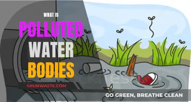 Unveiling the Hazards: Understanding Water Pollution's Impact