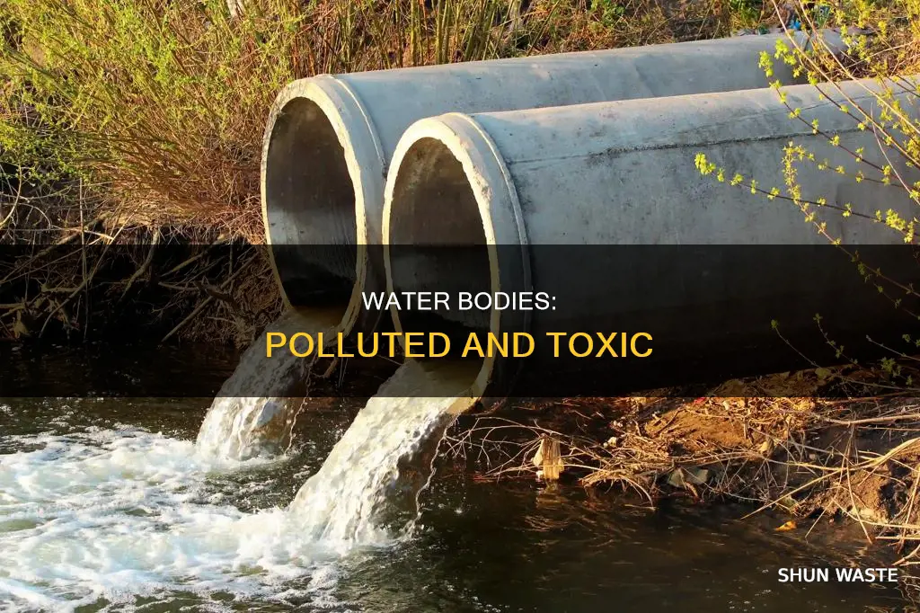what is polluted water bodies