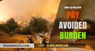 Polluter Pays Principle: Avoiding the Burden of Environmental Damage