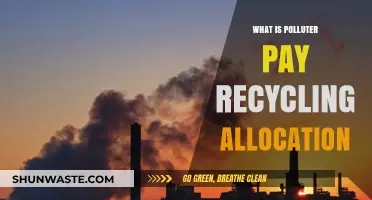 Polluter-Pays Principle: Recycling's Future