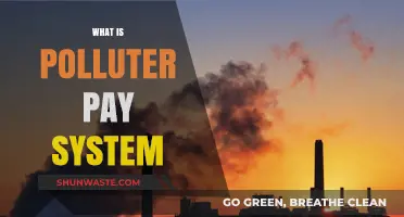 Polluter Pays Principle: Making Polluters Pay for Environmental Damage