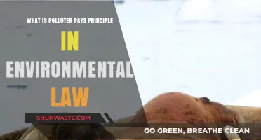 Polluter Pays Principle: Environmental Law's Core