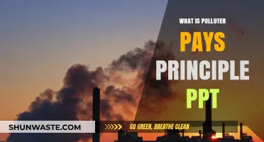 Polluter Pays Principle: Who Pays for Environmental Damage?