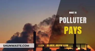 Polluter Pays Principle: Who Pays for Environmental Damage?